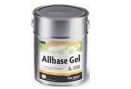 Pallmann Allbase Gel Грунтовка-гель на основі розчинника